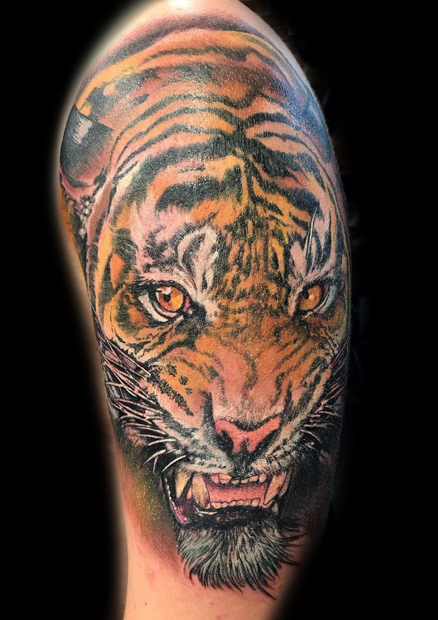 Butt cheek tiger finished off the other day for Emma- part of a large scale  coverup project wip. Thank you as always pal made ⋆ Studio XIII Gallery